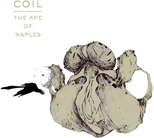 Album cover for Coil’s “The Ape of Naples” featuring sketched, organic forms.