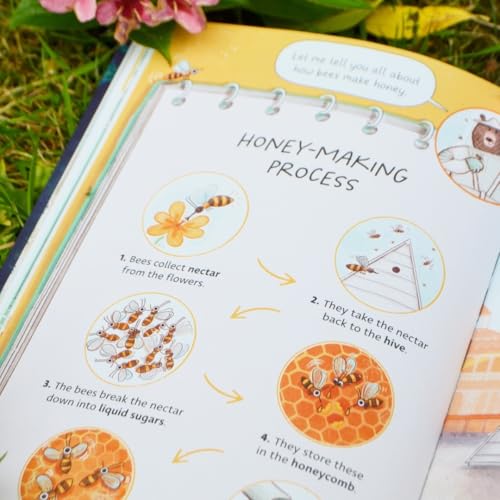 Open children’s book page illustrating the honey-making process with bees.