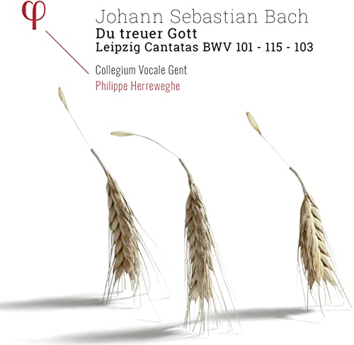 CD cover for Bach cantatas featuring wheat stalks and text.