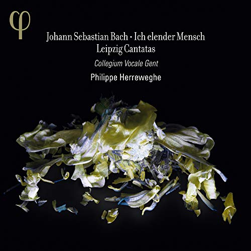 CD cover for Bach’s “Ich Elender Mensch” with floral imagery.