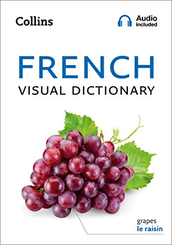 Cover of French Visual Dictionary with grapes and French text.