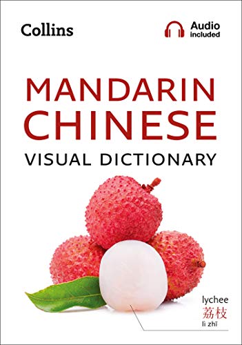 Mandarin Chinese visual dictionary cover with a photo of lychees.