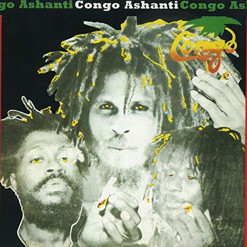 Vinyl album cover featuring a portrait of a man with dreadlocks.