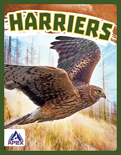 Book cover featuring a hawk in flight against a forest backdrop.