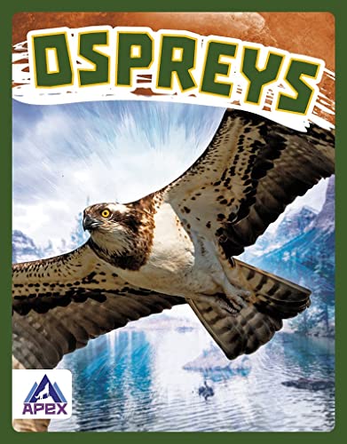 Book cover featuring an osprey in flight, wings outstretched.