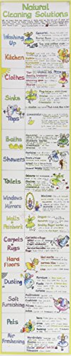 Tall chart listing natural cleaning recipes for various household areas.