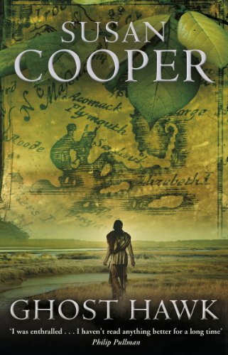 Book cover for Ghost Hawk by Susan Cooper featuring a person walking through marshland.