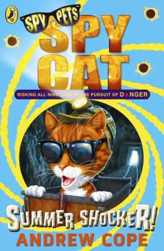 Orange tabby cat wearing sunglasses and helmet peeks from a trunk.