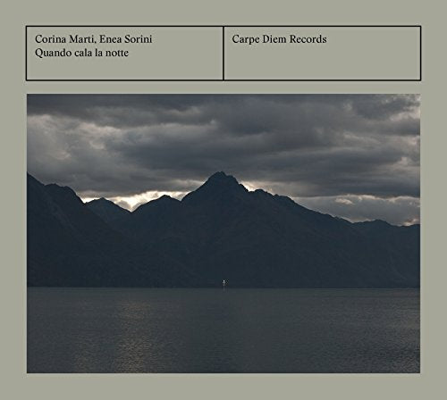 "Album cover with a dark mountain landscape and cloudy sky, grey background."