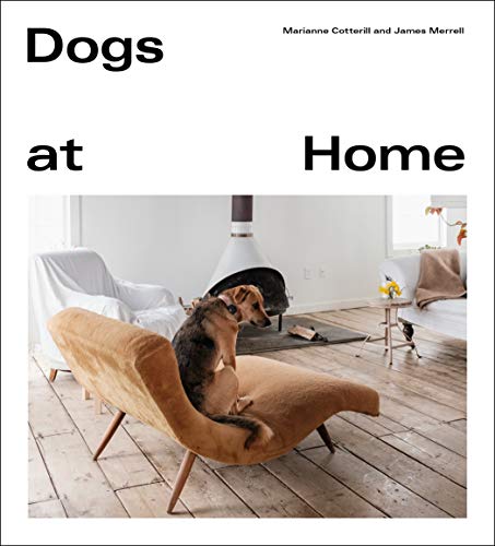 Book cover: a dog sits on a tan couch in a living room.