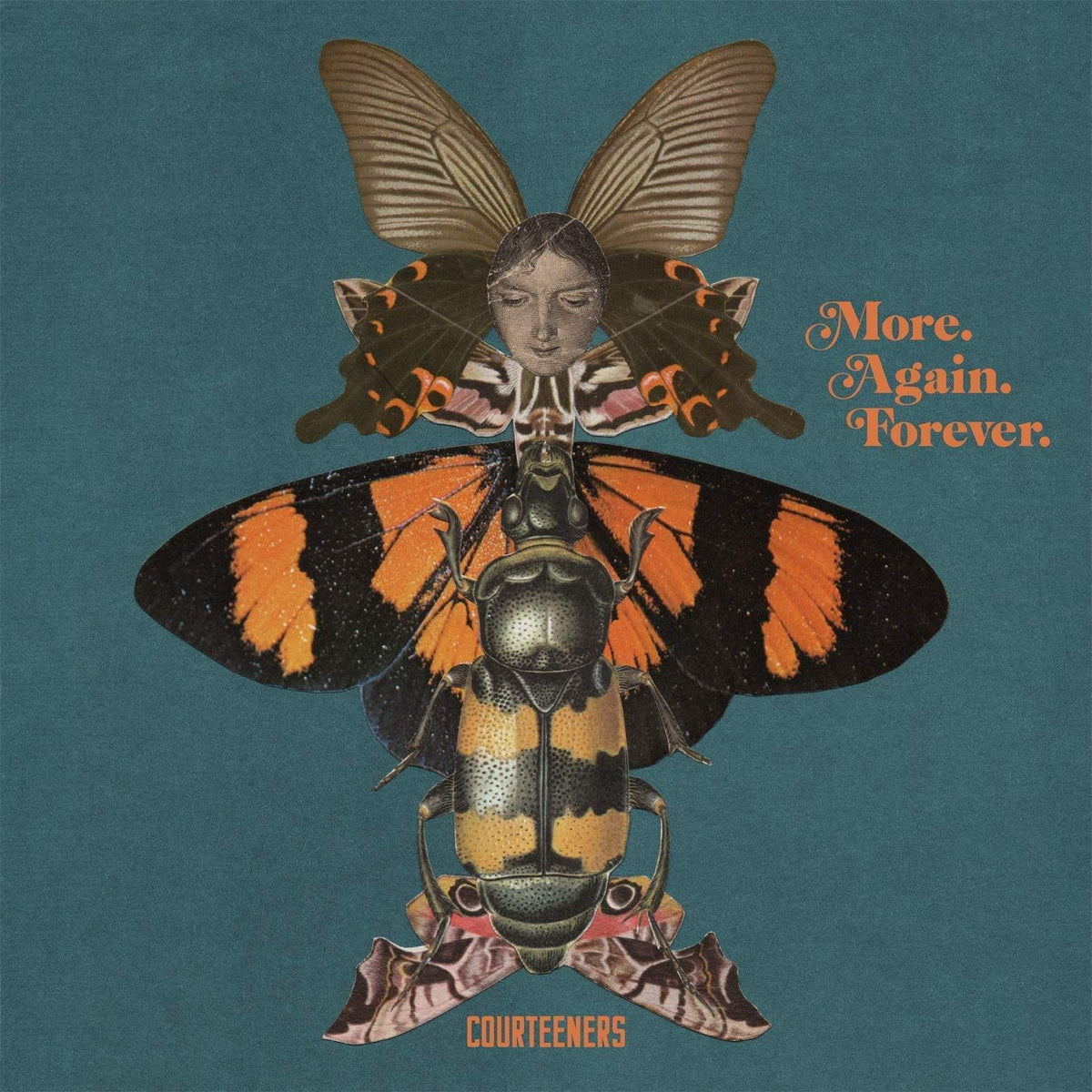 The image is a CD cover featuring a collage of insects and a woman's face.