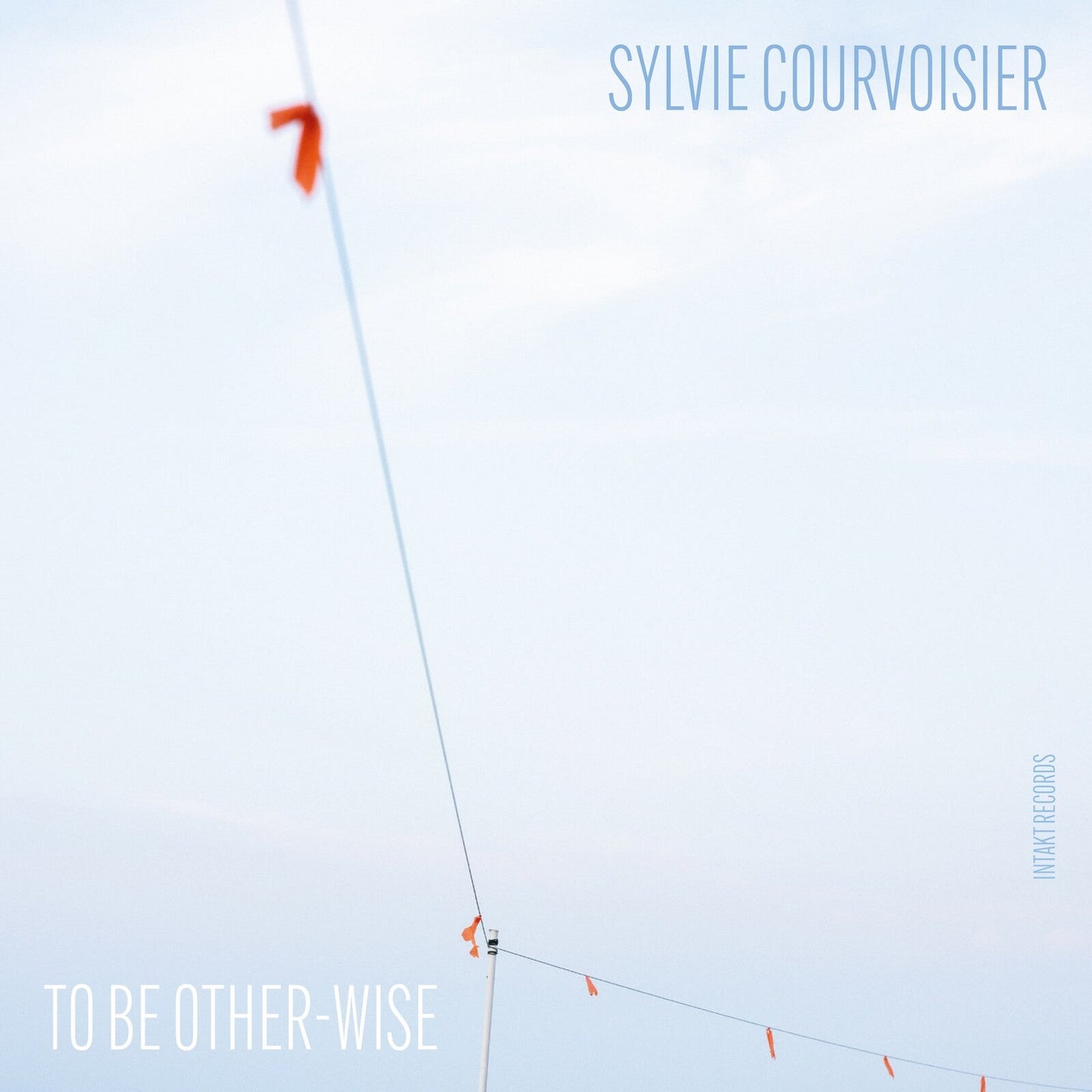 Album cover showing a thin wire with orange flags against a pale sky.