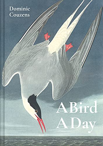 Book cover featuring a detailed illustration of a tern in flight.