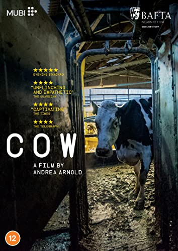 DVD cover for documentary “Cow” featuring a black and white cow.