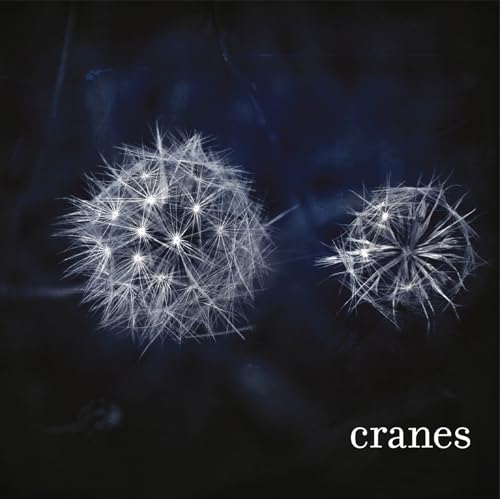 Dark album cover featuring two glowing dandelion seed heads and text “cranes”.