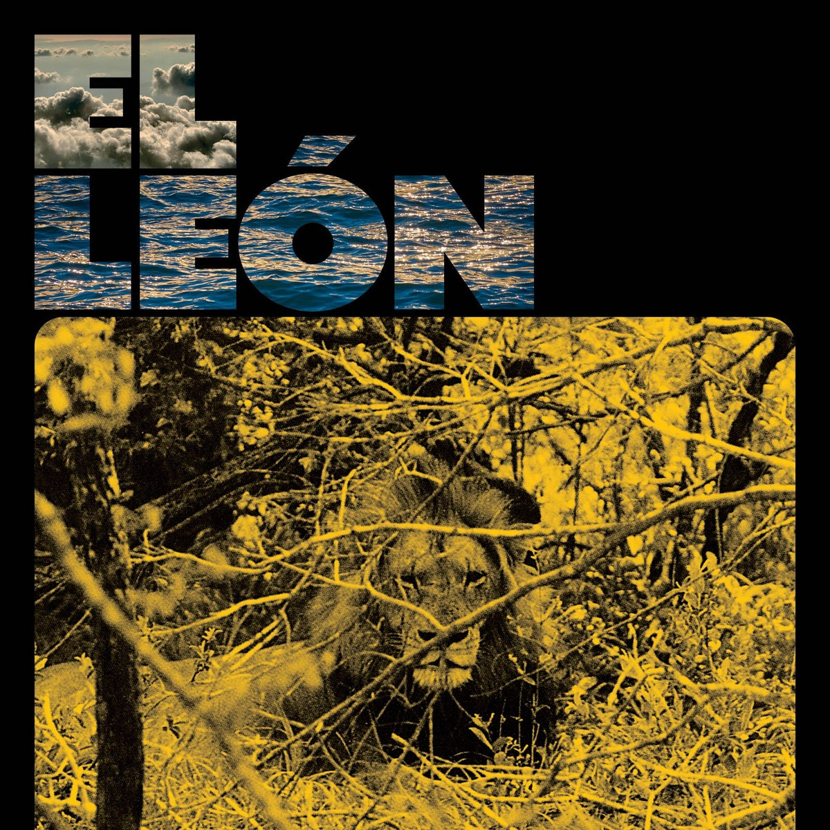 Album cover: lion in foliage with ocean and cloudy sky backdrop.