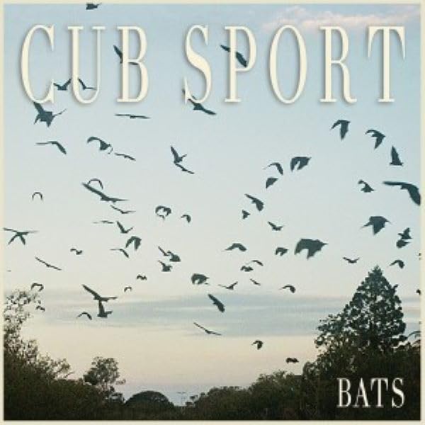 Cub Sport "Bats" vinyl cover with silhouetted bats in a sky.