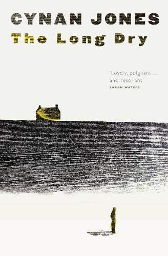 Book cover showing a small house and a lone figure on a textured landscape.