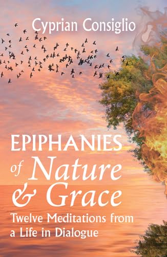 Book cover with a sunset, birds, and a tree branch.