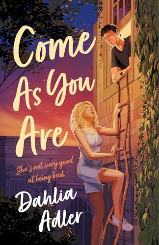 Book cover: woman on ladder, man looking from window, romantic theme.
