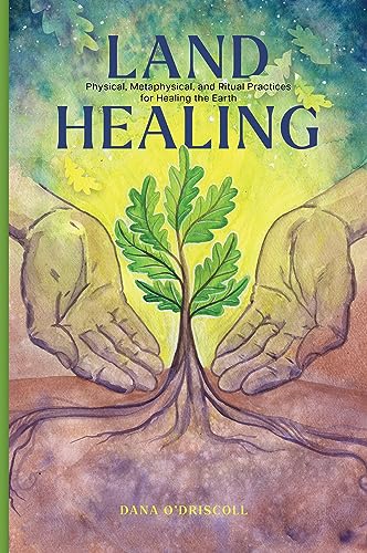 Book cover with hands cradling a young tree with visible roots.
