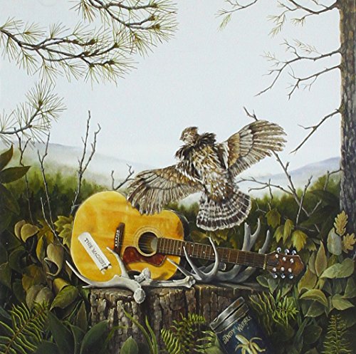 Painted album cover featuring a hawk, guitar, antlers, and forest scene.