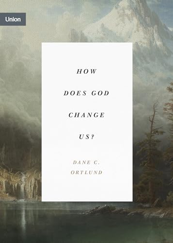 Book cover with text and a misty mountain landscape background.