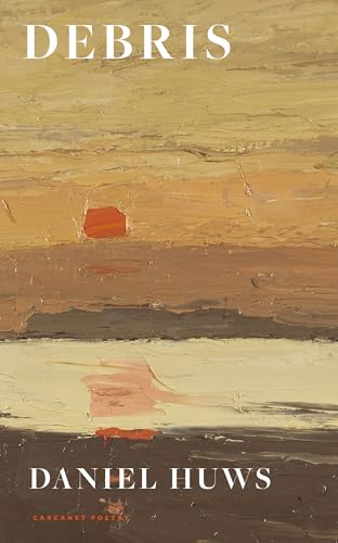 Book cover with abstract, layered brown and beige painted landscape.