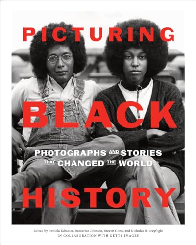 Book cover featuring two young Black people with afros, titled "Picturing Black History.