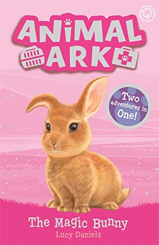Book cover featuring a brown bunny, “The Magic Bunny: Special 4.”