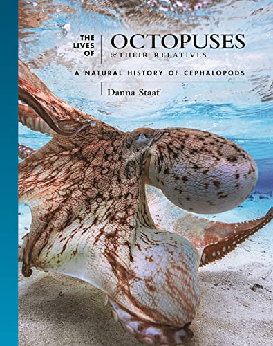 Book cover featuring a close-up of an octopus on a sandy seabed.