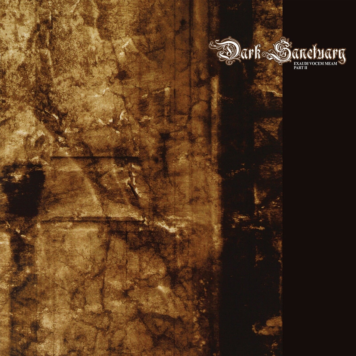 Album cover with textured brown background and Dark Sanctuary text on the right side.