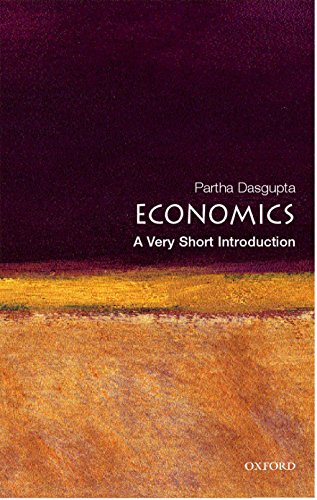 Book cover for Economics: A Very Short Introduction with abstract landscape art in purple-orange.