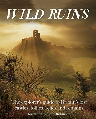 Book cover showing a sunlit castle ruin on a hill over a green valley.