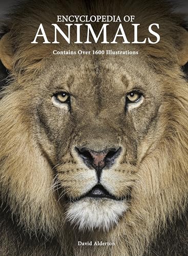 Book cover featuring a close-up portrait of a lion, titled Encyclopedia of Animals.