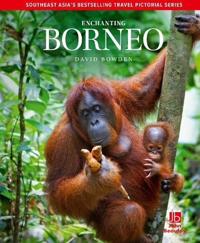 Book cover featuring an orangutan mother and baby in a jungle.