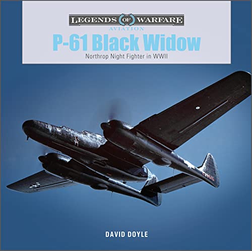 P-61 Black Widow aircraft in flight, book cover illustration.