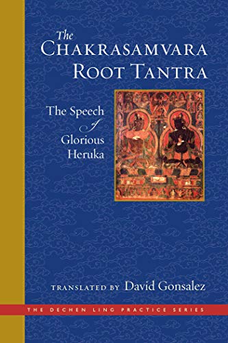Book cover featuring a central image of colorful Buddhist deities.