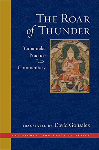 Book cover with a central image of a colorful, meditative deity.
