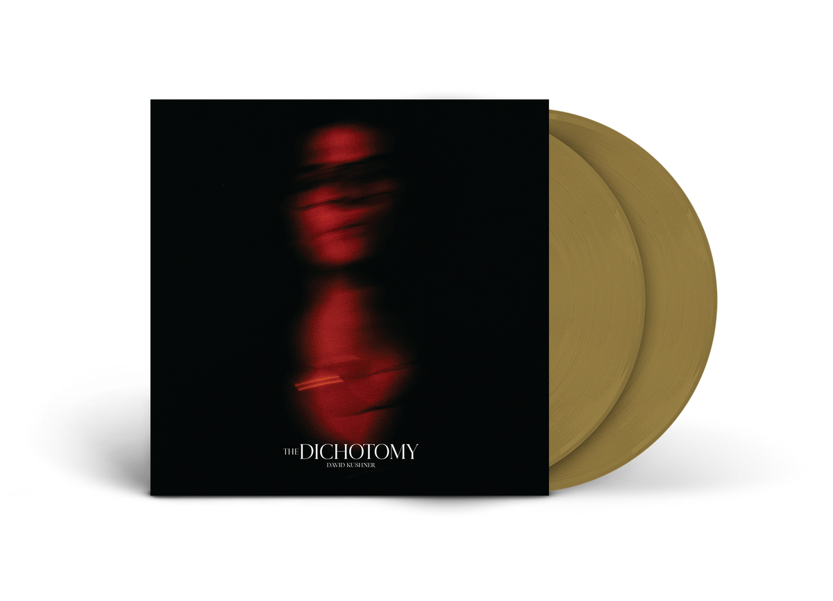 David Kushner The Dichotomy vinyl record album cover with two gold vinyl discs.