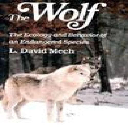 Book cover featuring a gray wolf in a snowy forest landscape.