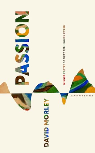 Book cover for "Passion" by David Morley with colorful abstract waves.
