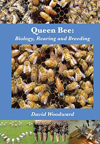 Book cover featuring honeybees and a larger queen bee with blue marking.