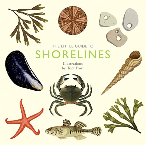Book cover titled The Little Guide to Shorelines featuring illustrations of various coastal specimens.