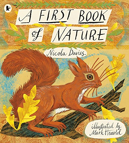 Book cover with illustrated squirrel on a branch, titled “A First Book of Nature.”