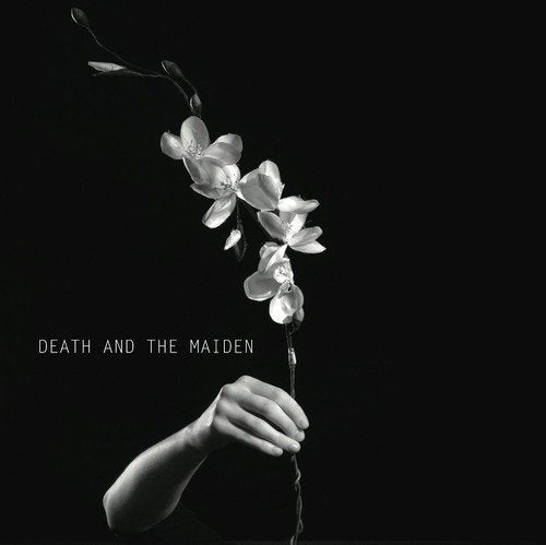 Black background with a hand holding a flowering branch.