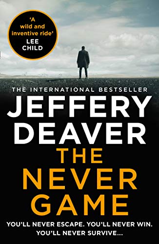 Book cover: dark landscape, lone figure, large white title "The Never Game".