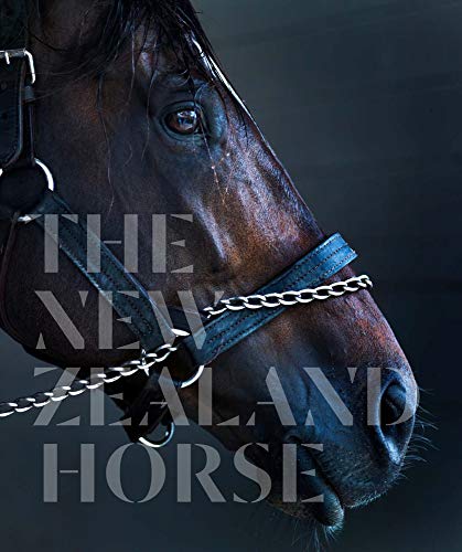 Close-up of a dark horse head with bridle, book title overlayed.