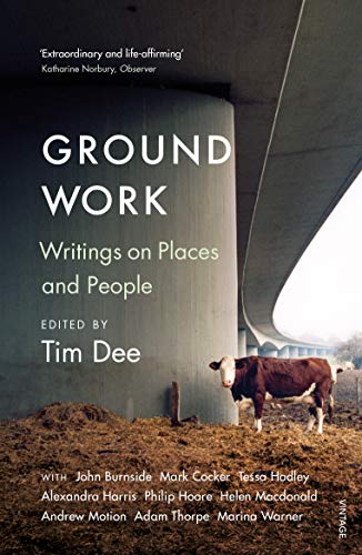Book cover: "Ground Work" with a cow under a concrete overpass.