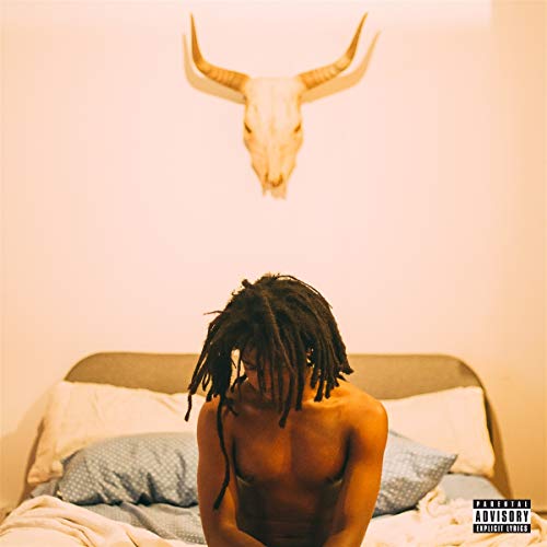 Album cover: shirtless man with dreadlocks, skull on wall, bed.